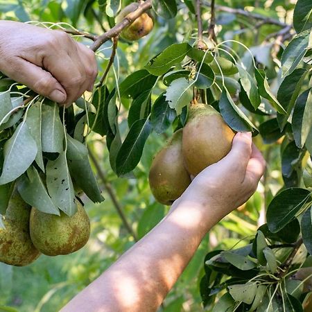 Whareama Tinui Food Forest Cottage מראה חיצוני תמונה